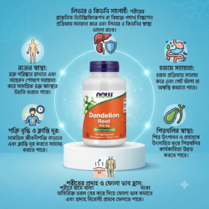 Now Foods Dandelion Root 500 mg 100 Capsules